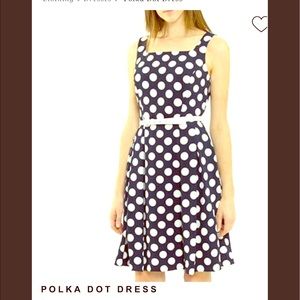 Beautiful Cartise Polka Dots Belted Dress